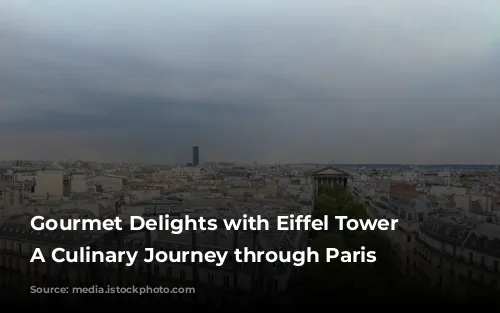 Gourmet Delights with Eiffel Tower Views: A Culinary Journey through Paris