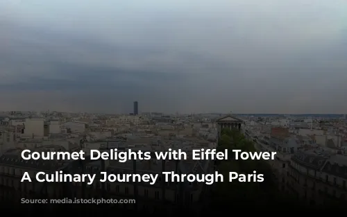 Gourmet Delights with Eiffel Tower Views: A Culinary Journey Through Paris