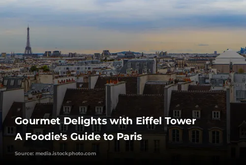 Gourmet Delights with Eiffel Tower Views: A Foodie's Guide to Paris