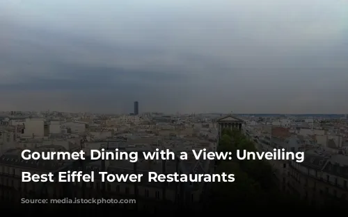 Gourmet Dining with a View: Unveiling Paris's Best Eiffel Tower Restaurants