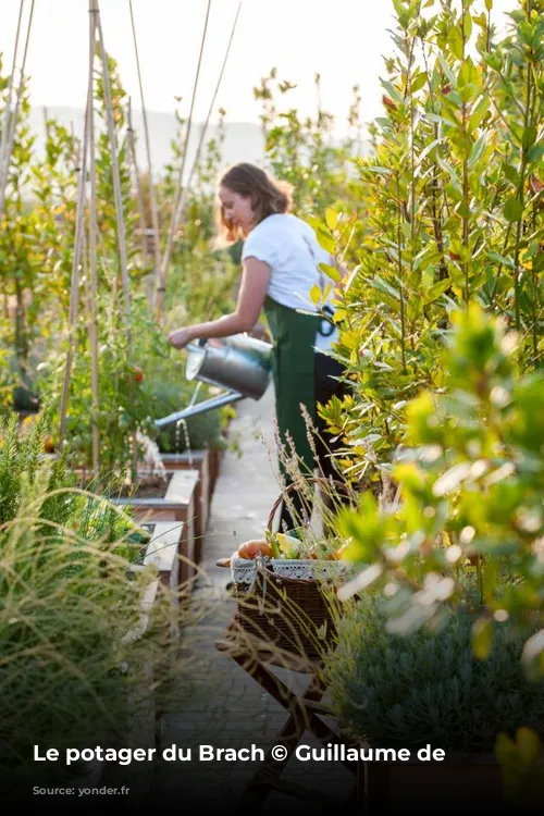 Le potager du Brach © Guillaume de Laubier