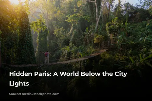 Hidden Paris: A World Below the City of Lights