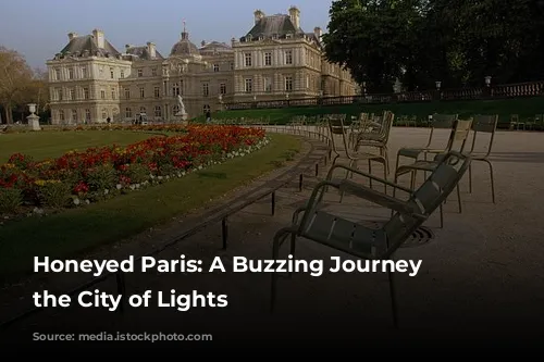 Honeyed Paris: A Buzzing Journey Through the City of Lights