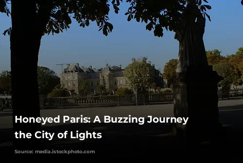 Honeyed Paris: A Buzzing Journey Through the City of Lights