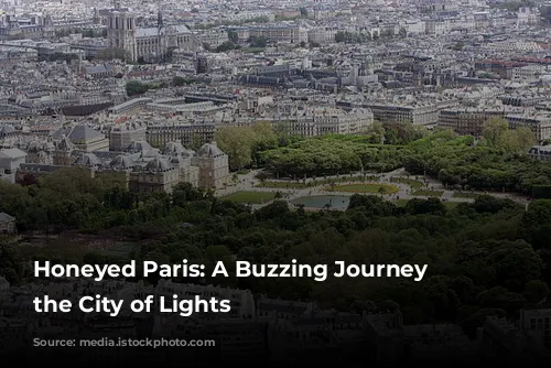 Honeyed Paris: A Buzzing Journey Through the City of Lights