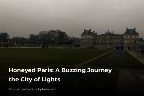 Honeyed Paris: A Buzzing Journey Through the City of Lights