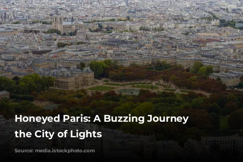 Honeyed Paris: A Buzzing Journey Through the City of Lights