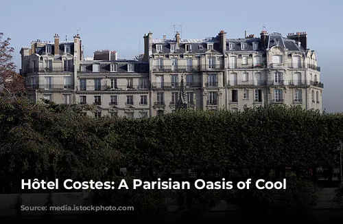 Hôtel Costes: A Parisian Oasis of Cool