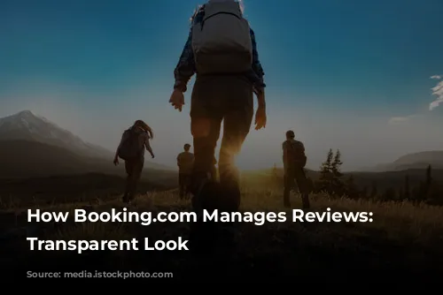 How Booking.com Manages Reviews: A Transparent Look