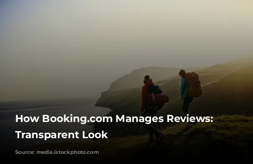 How Booking.com Manages Reviews: A Transparent Look