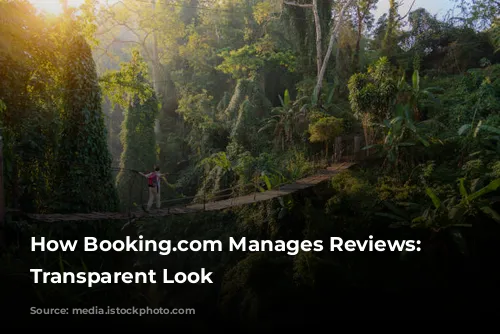 How Booking.com Manages Reviews: A Transparent Look