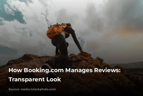 How Booking.com Manages Reviews: A Transparent Look