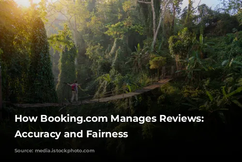 How Booking.com Manages Reviews: Ensuring Accuracy and Fairness