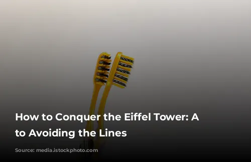 How to Conquer the Eiffel Tower: A Guide to Avoiding the Lines