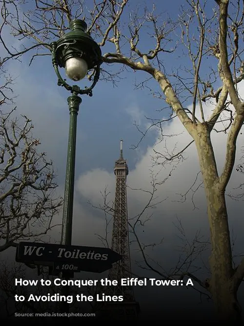 How to Conquer the Eiffel Tower: A Guide to Avoiding the Lines