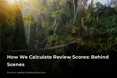 How We Calculate Review Scores:  Behind the Scenes