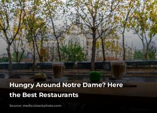 Hungry Around Notre Dame? Here Are the Best Restaurants