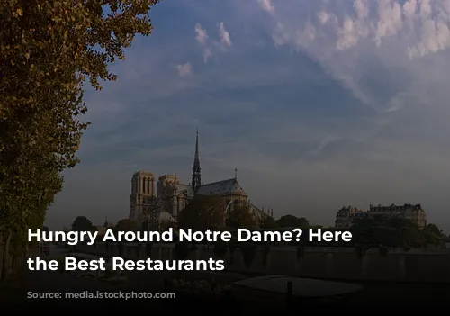 Hungry Around Notre Dame? Here Are the Best Restaurants