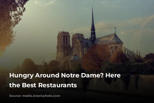 Hungry Around Notre Dame? Here Are the Best Restaurants