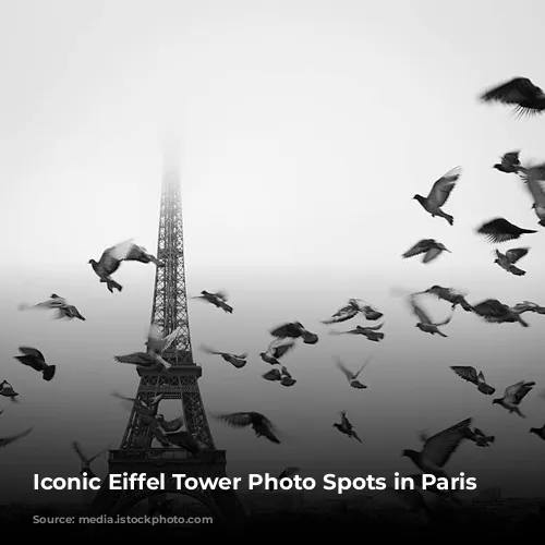 Iconic Eiffel Tower Photo Spots in Paris