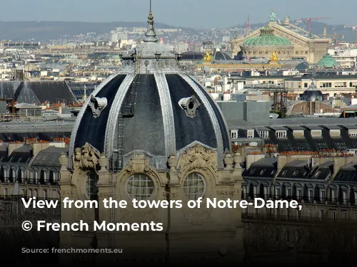 View from the towers of Notre-Dame, Paris © French Moments