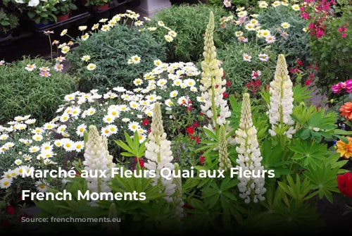 Marché aux Fleurs Quai aux Fleurs © French Moments