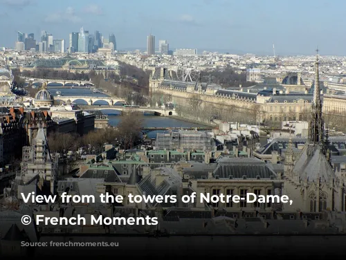 View from the towers of Notre-Dame, Paris © French Moments