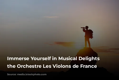 Immerse Yourself in Musical Delights with the Orchestre Les Violons de France