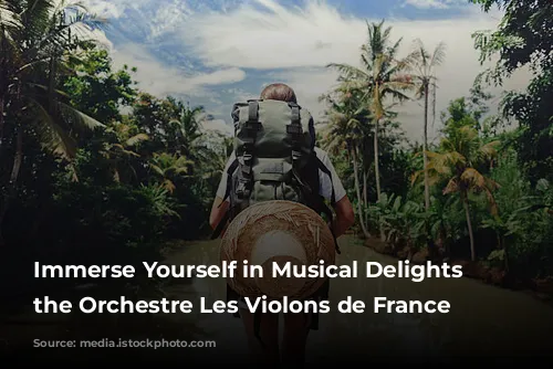 Immerse Yourself in Musical Delights with the Orchestre Les Violons de France