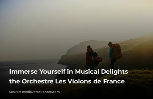 Immerse Yourself in Musical Delights with the Orchestre Les Violons de France