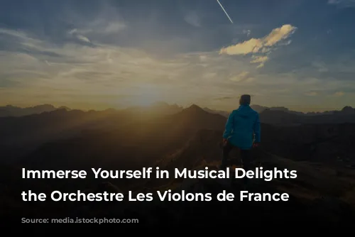 Immerse Yourself in Musical Delights with the Orchestre Les Violons de France