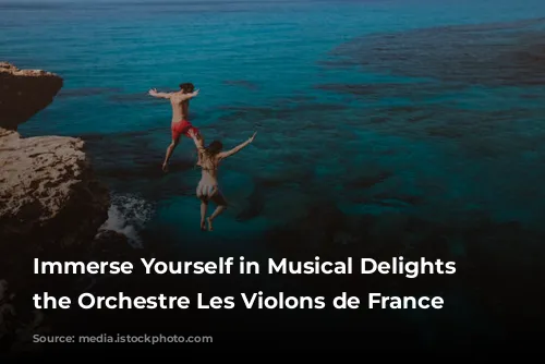 Immerse Yourself in Musical Delights with the Orchestre Les Violons de France