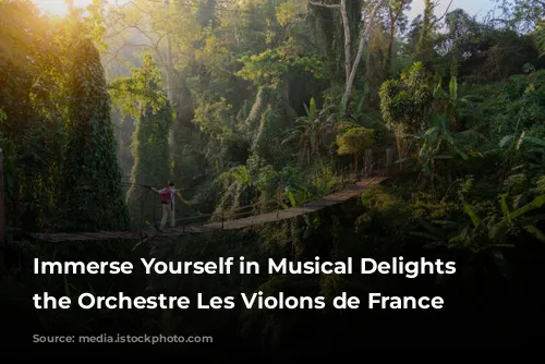 Immerse Yourself in Musical Delights with the Orchestre Les Violons de France