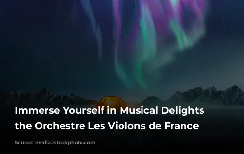 Immerse Yourself in Musical Delights with the Orchestre Les Violons de France