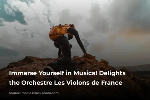 Immerse Yourself in Musical Delights with the Orchestre Les Violons de France