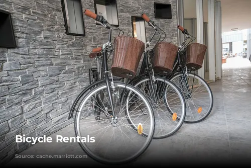 Bicycle Rentals