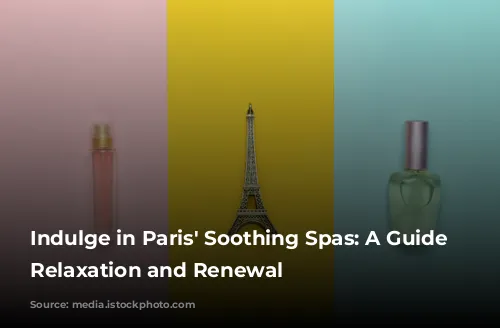 Indulge in Paris' Soothing Spas: A Guide to Relaxation and Renewal