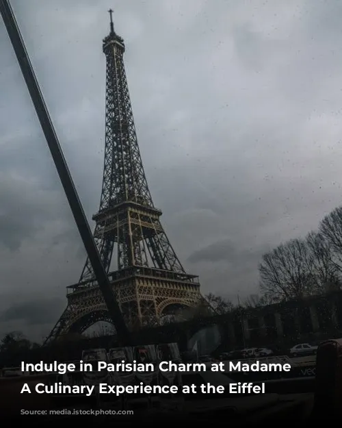 Indulge in Parisian Charm at Madame Brasserie: A Culinary Experience at the Eiffel Tower