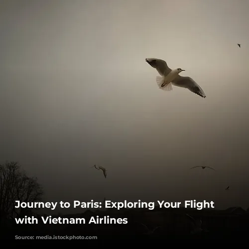 Journey to Paris: Exploring Your Flight Options with Vietnam Airlines