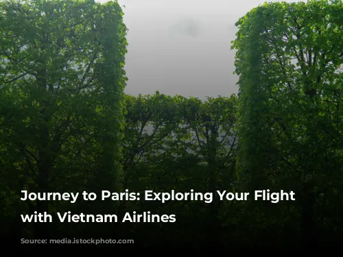 Journey to Paris: Exploring Your Flight Options with Vietnam Airlines