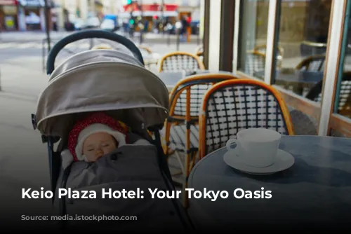 Keio Plaza Hotel: Your Tokyo Oasis