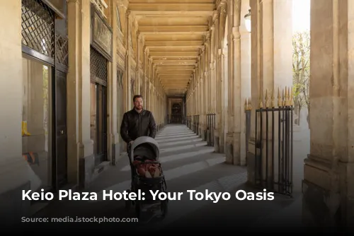 Keio Plaza Hotel: Your Tokyo Oasis