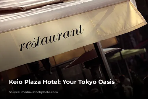 Keio Plaza Hotel: Your Tokyo Oasis