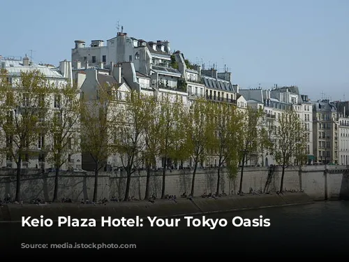 Keio Plaza Hotel: Your Tokyo Oasis