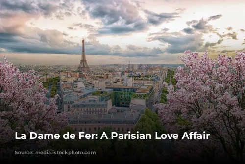 La Dame de Fer: A Parisian Love Affair