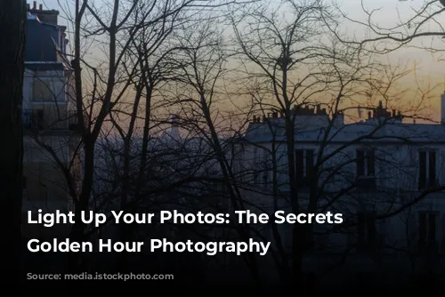 Light Up Your Photos: The Secrets to Golden Hour Photography