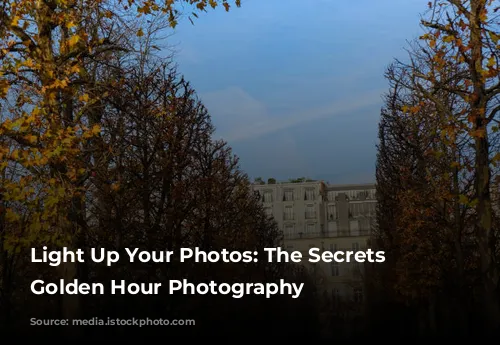 Light Up Your Photos: The Secrets to Golden Hour Photography