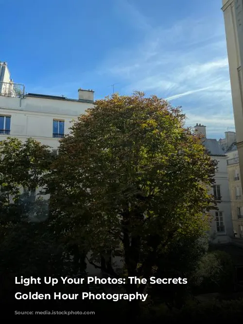 Light Up Your Photos: The Secrets to Golden Hour Photography