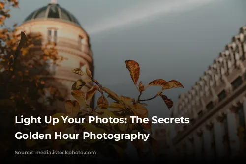 Light Up Your Photos: The Secrets to Golden Hour Photography