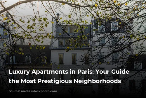 Luxury Apartments in Paris: Your Guide to the Most Prestigious Neighborhoods